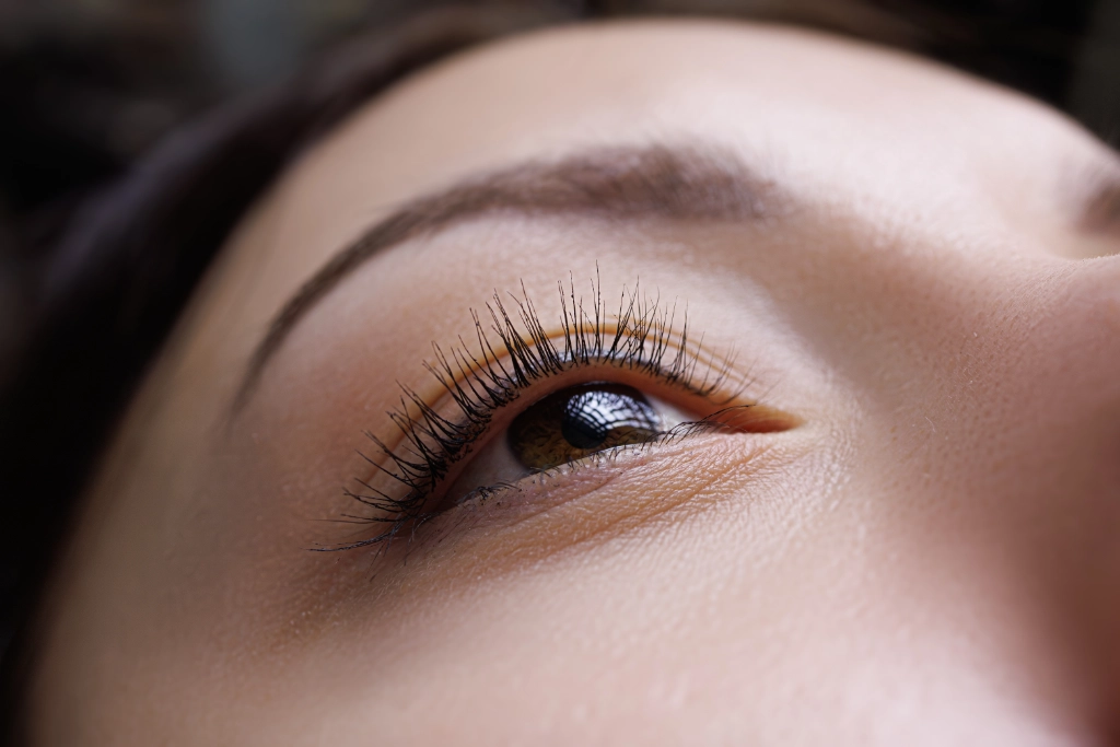 lash tinting